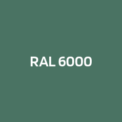 RAL 6000 Patinagroen
